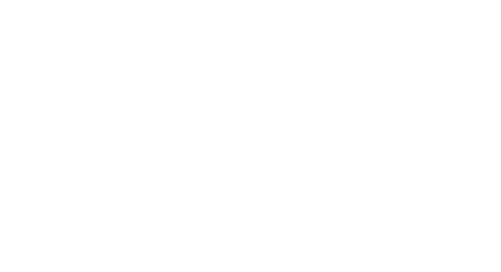 Sally Jiang Real Estate